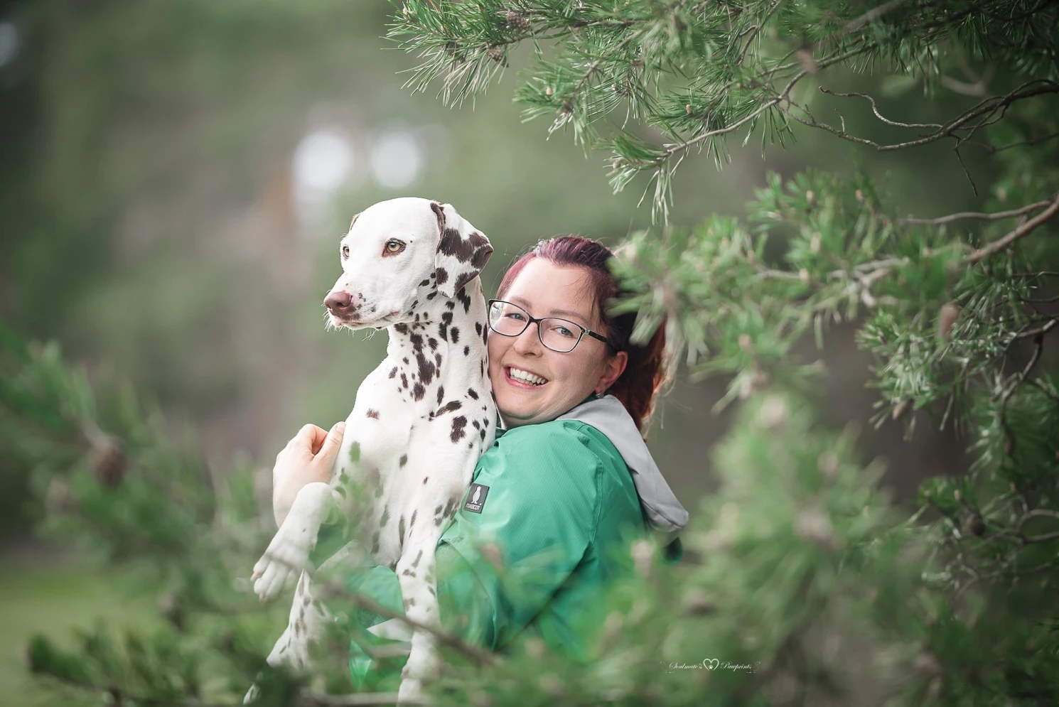 Hundeschule